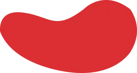 FB体育 (中国)官方网站-FB SPORTS