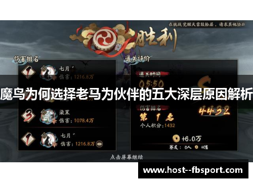 魔鸟为何选择老马为伙伴的五大深层原因解析 魔鸟为何选择老马为伙伴的五大深层原因解析