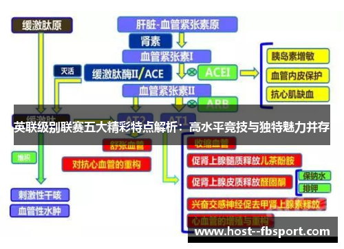 英联级别联赛五大精彩特点解析:高水平竞技与独特魅力并存 英联级别联赛五大精彩特点解析:高水平竞技与独特魅力并存