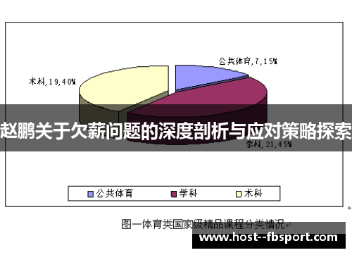 赵鹏关于欠薪问题的深度剖析与应对策略探索